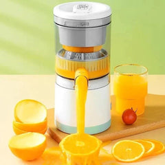 Portable Juicer, Fruit and Vegetable Automatic Juice Extractor, Multifunctional Fruit Juicer